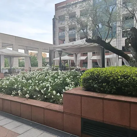 Bilocale Con Terrazzo E Box Auto Su Richiesta