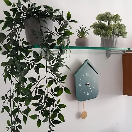 Apartment Bilocale Con Terrazzo E Box Auto Su Richiesta *